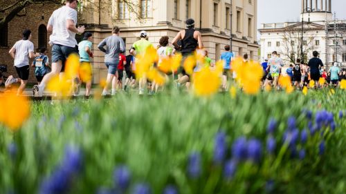 MEZZA MARATONA DI BERLINO | 21K 2024